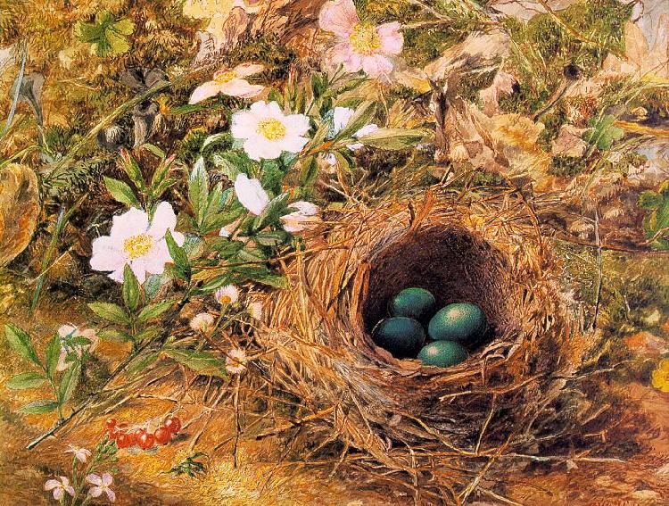 Hill, John William Bird's Nest and Dogroses oil painting image
